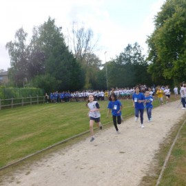2016 scholenveldloop  129 - Sportraad Zaventem 